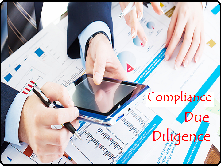 Compliance and Due Diligence Support